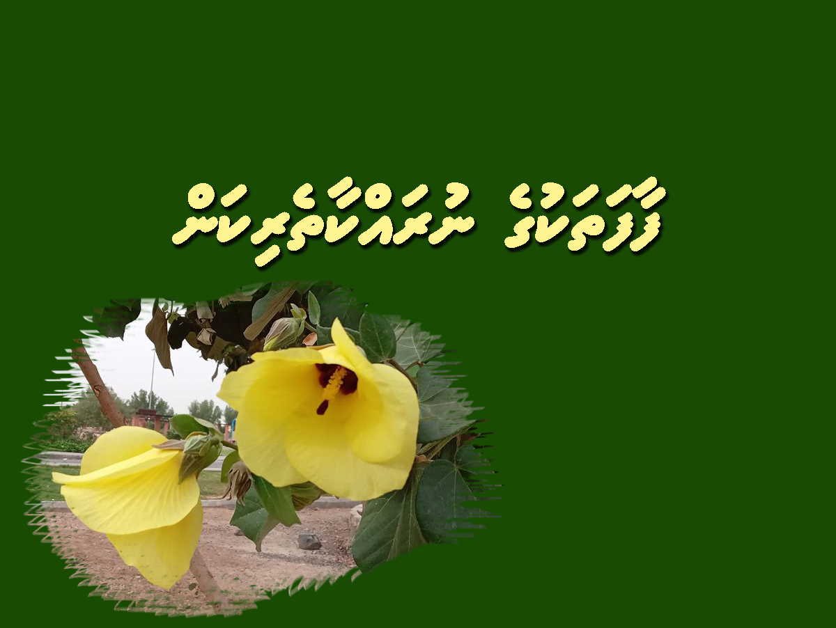 faafathakuge nurakkaatherikan