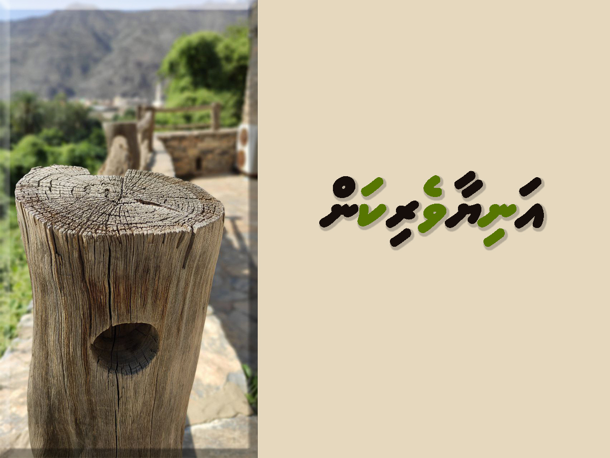 aniyaaverikan