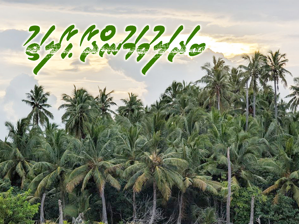 badhalu vamundhaa haalathu