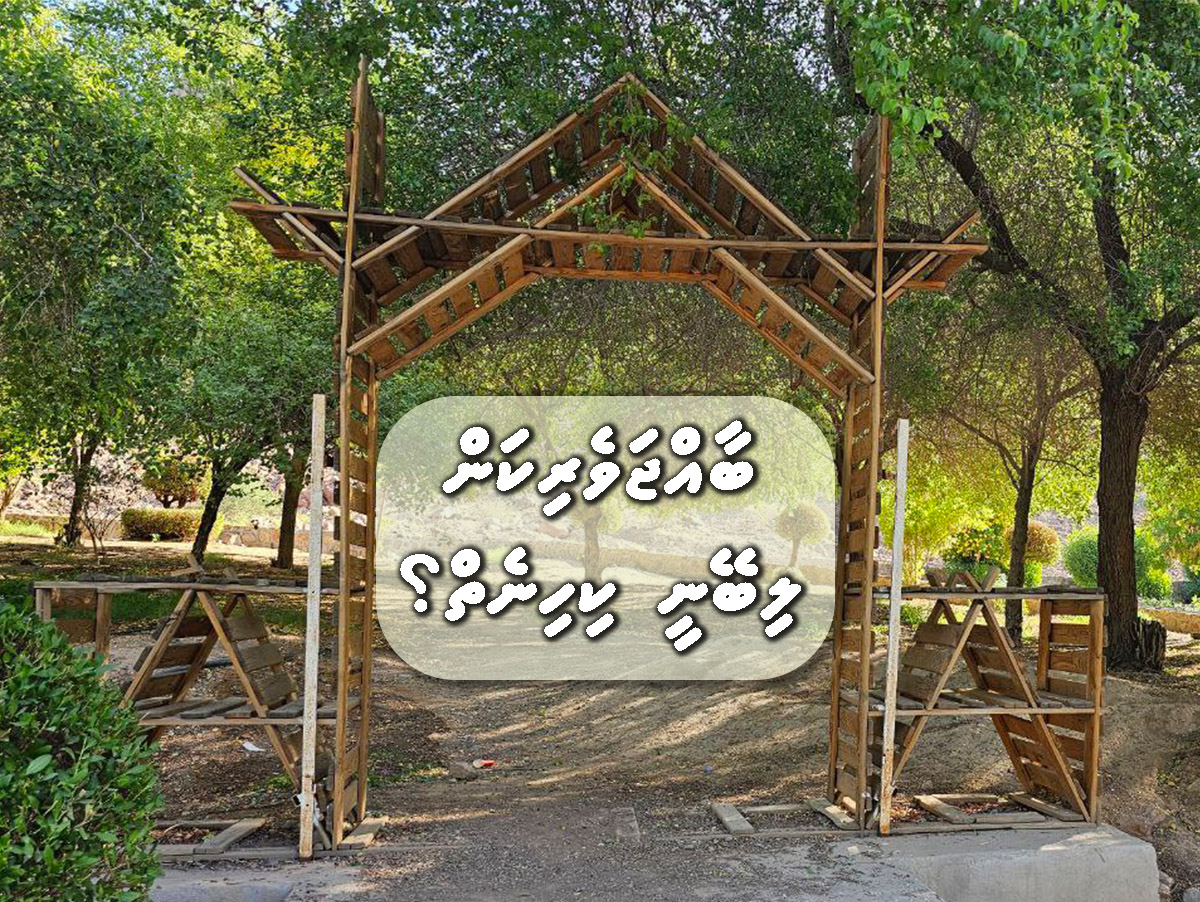 baajjaverikan libeyny kihineh